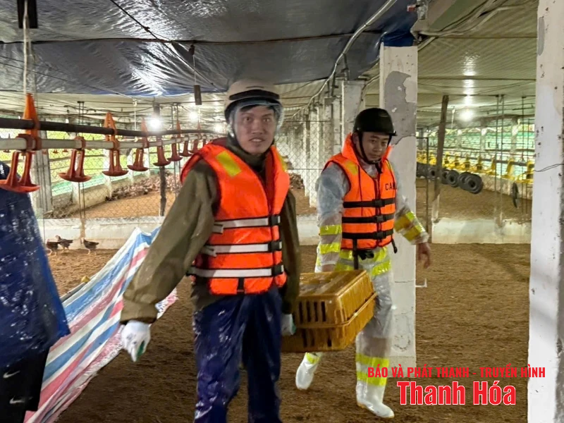 Chủ động, linh hoạt ứng phó, bảo đảm an toàn tính mạng, tài sản cho người dân