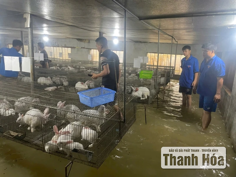 Tuổi trẻ Thanh Hóa chung tay khắc phục hậu quả mưa bão