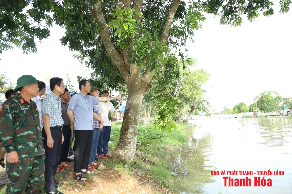 Chủ tịch UBND tỉnh Đỗ Minh Tuấn kiểm tra, chỉ đạo khắc phục sự cố đê tại xã Hà Long