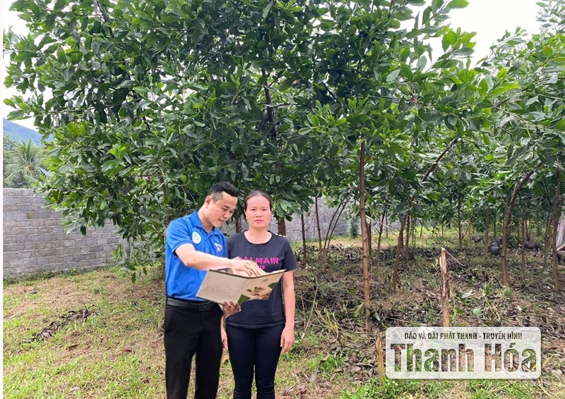 Một đồng vốn vay - Ba lớp tác động