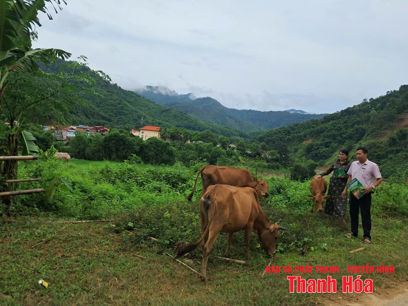 Nguồn lực tiếp sức cho các hộ nghèo vùng cao vươn lên