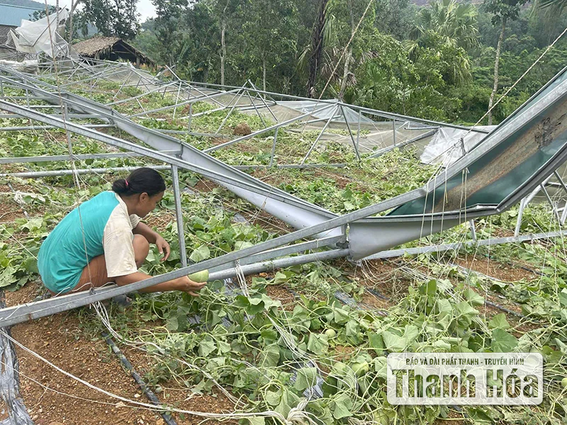 Căng sức, đồng lòng khắc phục hậu quả bão số 5