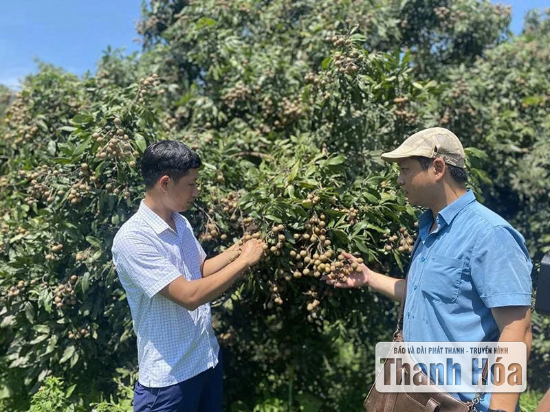 Thay đổi tư duy trồng cây ăn quả