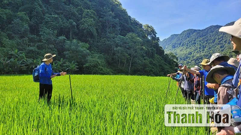 Du lịch trekking - Trải nghiệm đáng giá và những lưu ý an toàn