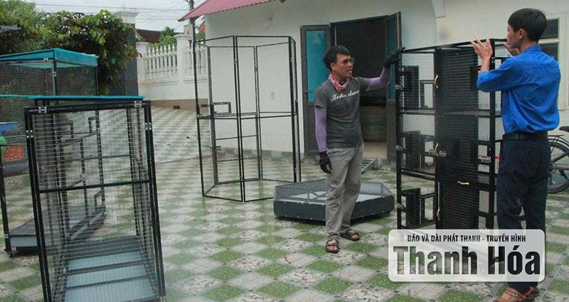 Duy trì, nhân rộng các mô hình kinh tế hiệu quả trong thanh niên