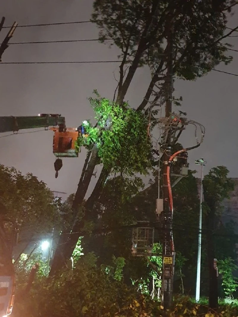 Công ty Điện lực Thanh Hóa kích hoạt cấp độ cao nhất trong công tác ứng phó, khắc phục thiệt hại do bão Kajiki gây ra