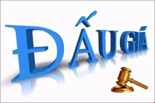 Công ty Đấu giá hợp danh Hoàng Anh thông báo đấu giá tài sản