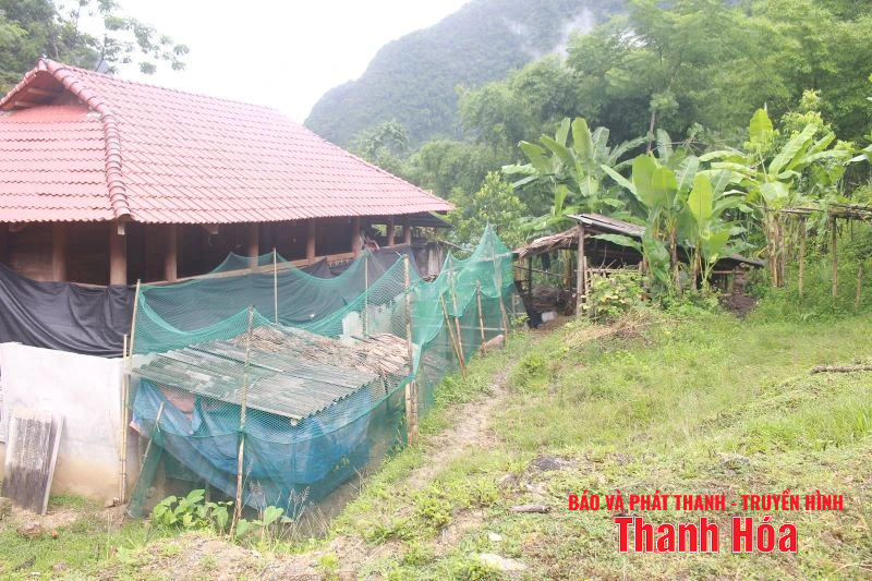 Lãnh đạo Bộ CHQS tỉnh kiểm tra công tác ứng phó bão số 5 tại các xã Trung Hạ, Sơn Điện