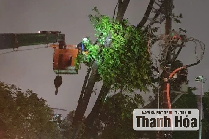 Đã cấp điện lại cho toàn bộ khách hàng ở khu vực không bị ngập nước, chia cắt