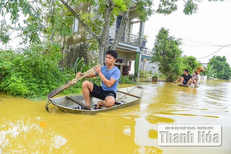 Hàng trăm ngôi nhà ở Hà Trung chìm trong nước, dân sơ tán đồ đạc, vật nuôi lên đê tránh lũ