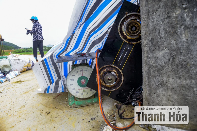 Hàng trăm ngôi nhà ở Hà Trung chìm trong nước, dân sơ tán đồ đạc, vật nuôi lên đê tránh lũ
