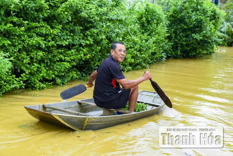 Hàng trăm ngôi nhà ở Hà Trung chìm trong nước, dân sơ tán đồ đạc, vật nuôi lên đê tránh lũ