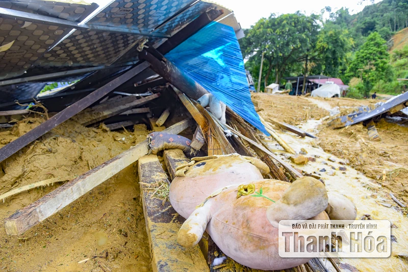 Bản làng Yên Nhân sau ngày lũ dữ, hàng chục ngôi nhà bị cuốn sập