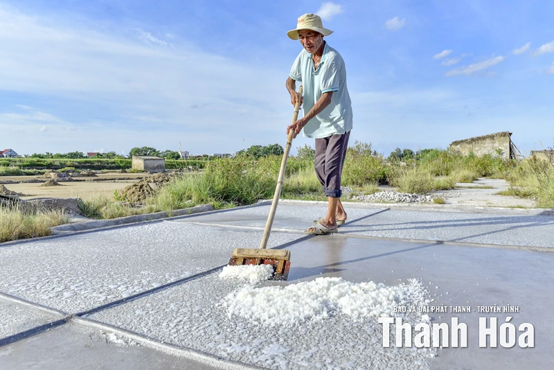 Nghề muối bấp bênh theo nắng mưa