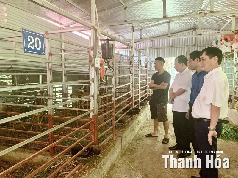 Từ mô hình “Nông dân dạy nông dân”