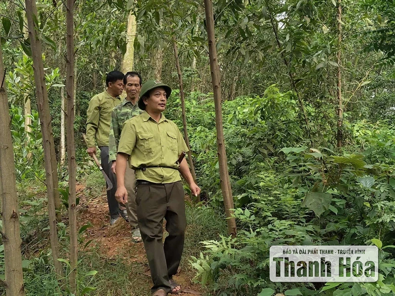 Người giữ rừng thầm lặng