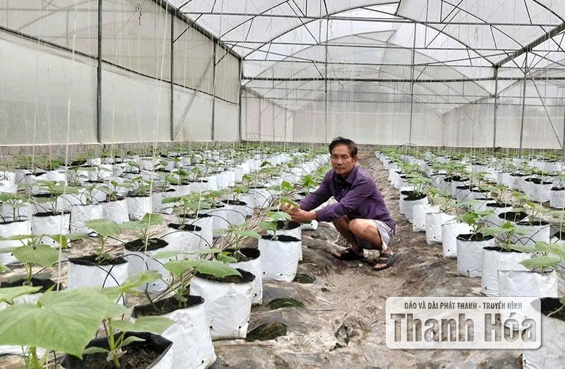 Mở lối nâng cao đời sống cho người dân Thượng Ninh