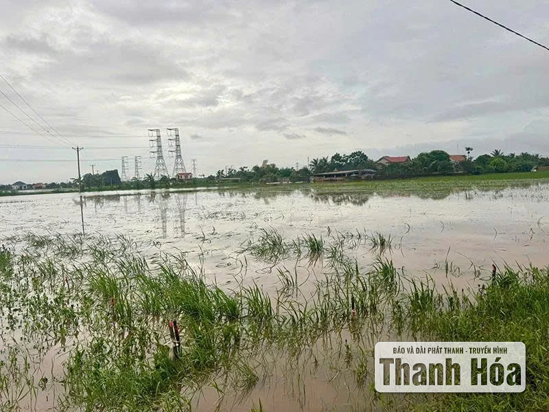 Sớm xây dựng công trình thủy lợi tiêu thoát nước cho các xã: Nga An, Tân Tiến, Hồ Vương