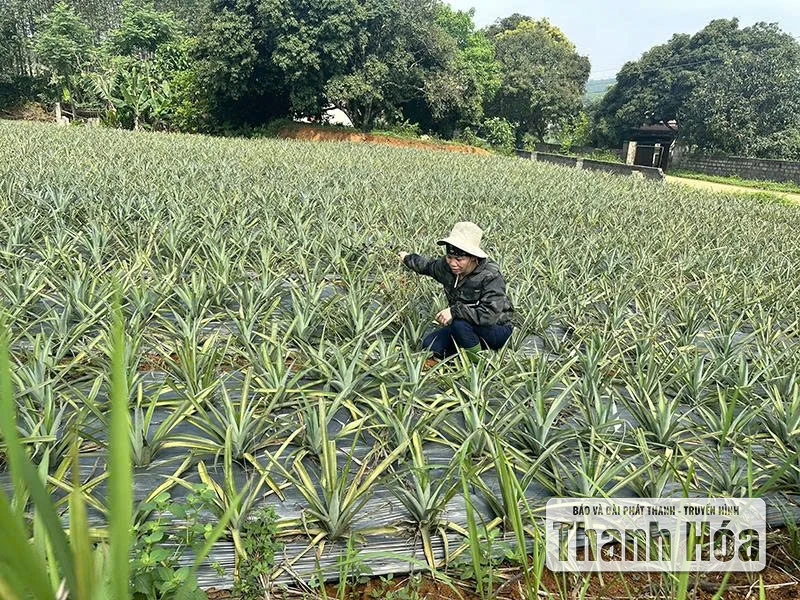 “Chắp cánh” cho nông dân làm giàu
