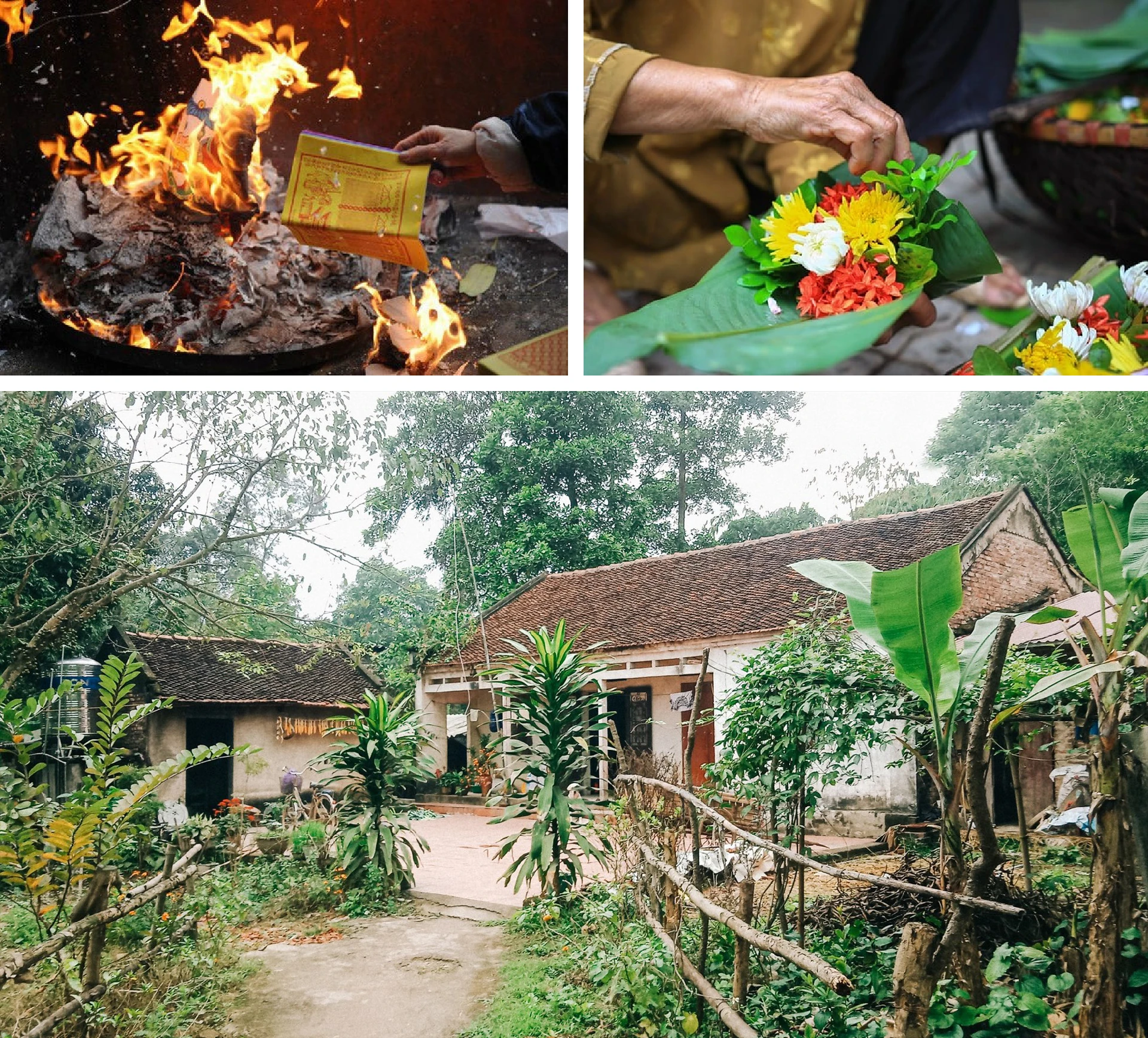 [E-Magazine]: Ta về cùng mẹ ta xưa