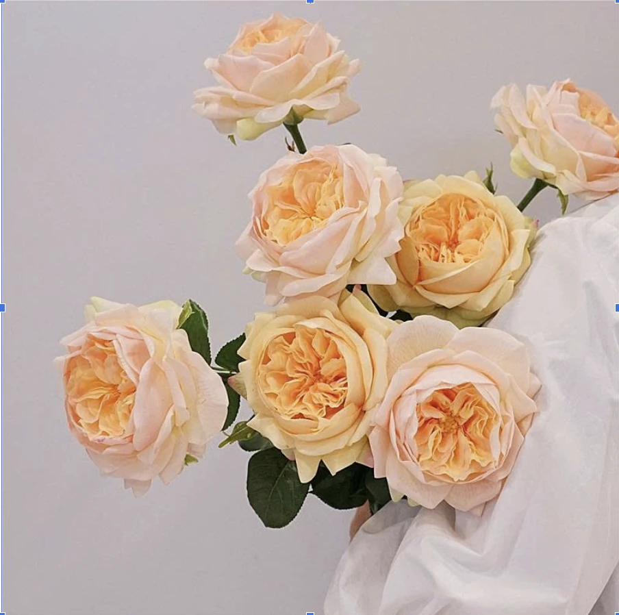 Hoa lụa trang trí không gian sống lung linh, sang trọng cùng Linh Nga Decor