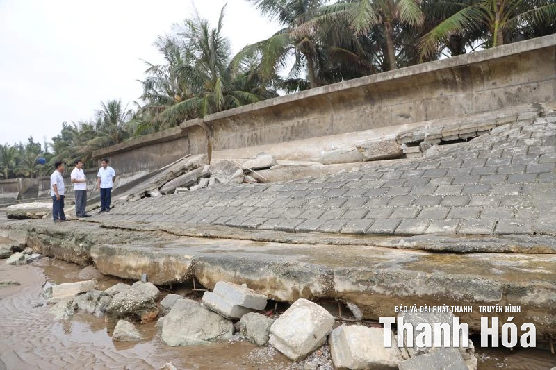 Nghiên cứu phương án khả thi khắc phục tình trạng sạt lở bờ kè Hải Tiến