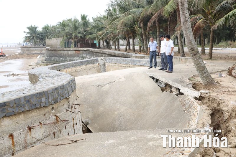 Nghiên cứu phương án khả thi khắc phục tình trạng sạt lở bờ kè Hải Tiến