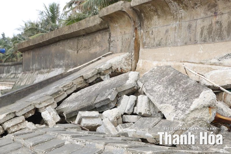 Nghiên cứu phương án khả thi khắc phục tình trạng sạt lở bờ kè Hải Tiến