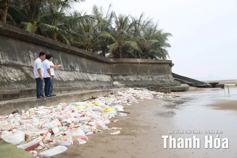 Nghiên cứu phương án khả thi khắc phục tình trạng sạt lở bờ kè Hải Tiến