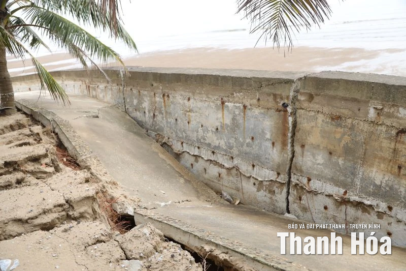 Nghiên cứu phương án khả thi khắc phục tình trạng sạt lở bờ kè Hải Tiến