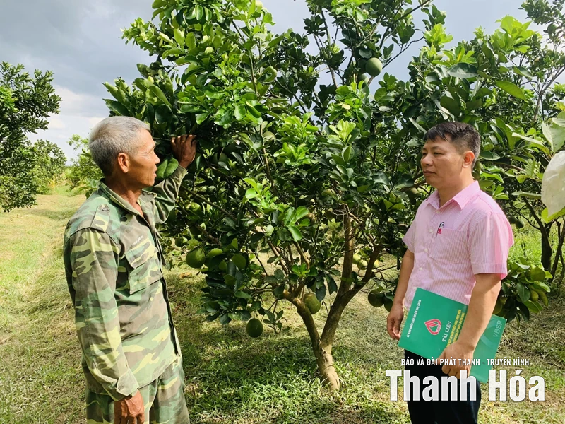 Tạo điều kiện cho người dân tiếp cận nguồn vốn chính sách