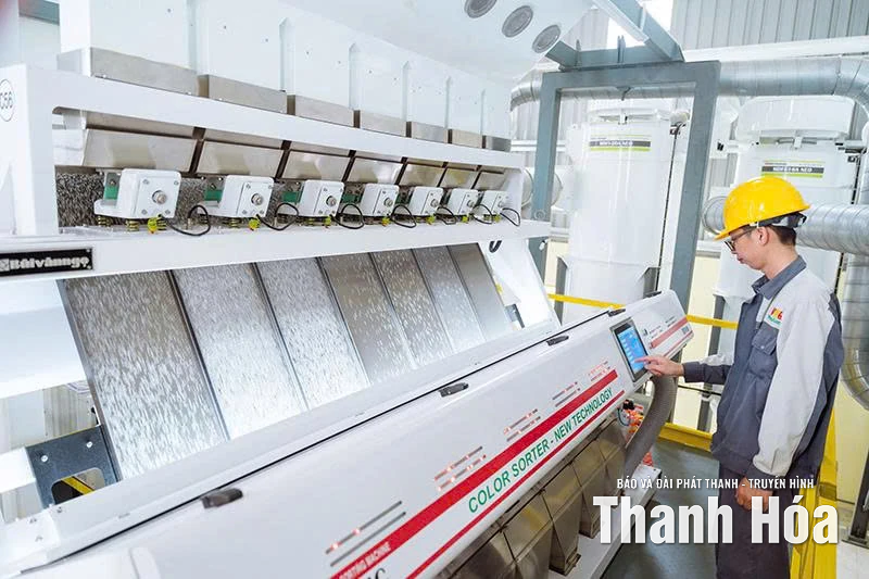 Xanh hóa nông nghiệp để cạnh tranh toàn cầu