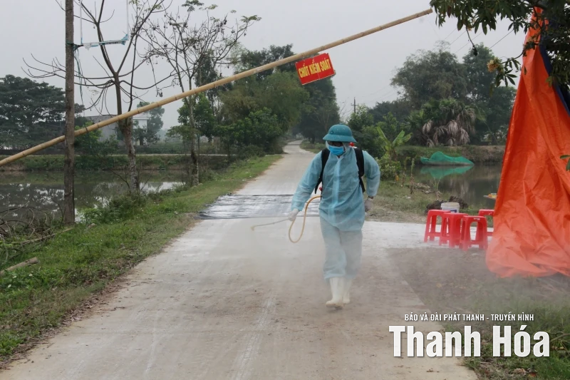 Nhiều địa phương trên địa bàn tỉnh kiểm soát tốt bệnh Dịch tả lợn châu Phi