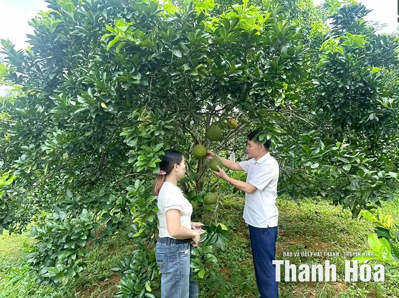 Bí thư chi bộ vận động Nhân dân XDNTM kiểu mẫu