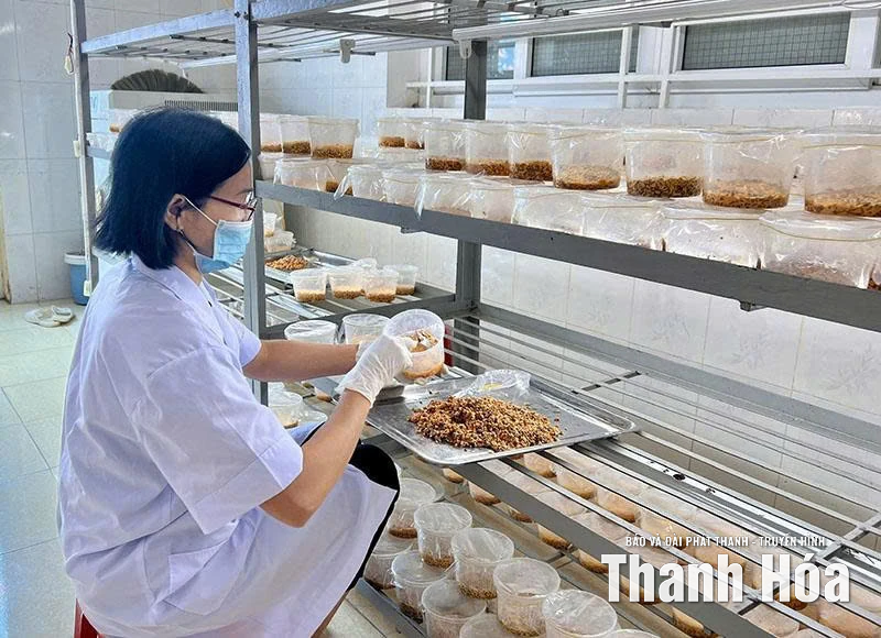 Nông nghiệp công nghệ cao: Từ chính sách đến thực tiễn phát triển