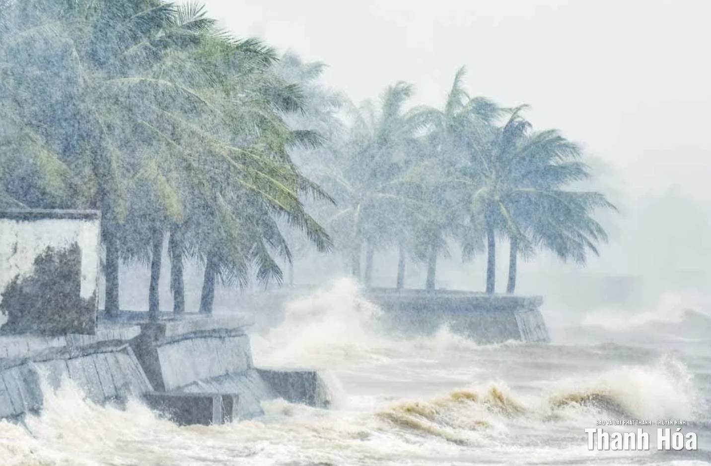 Thanh Hóa chủ động ứng phó với bão RAGASA gần Biển Đông