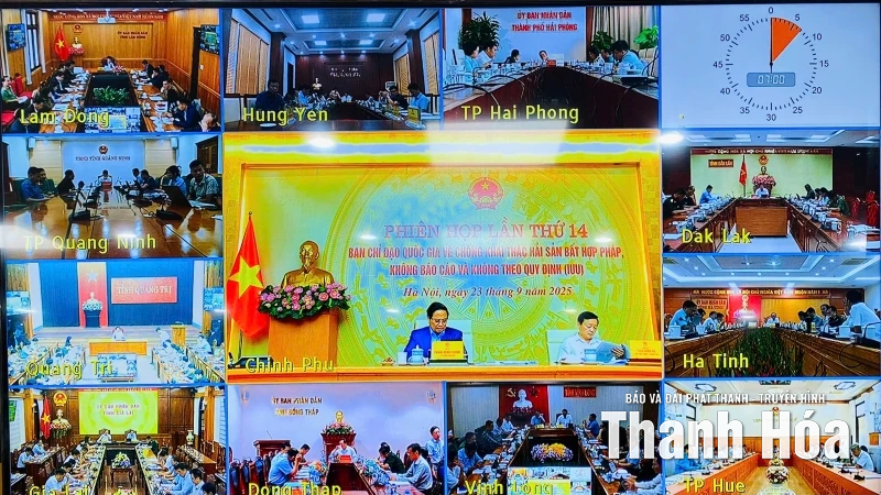 Quyết liệt thực hiện các giải pháp chống khai thác IUU