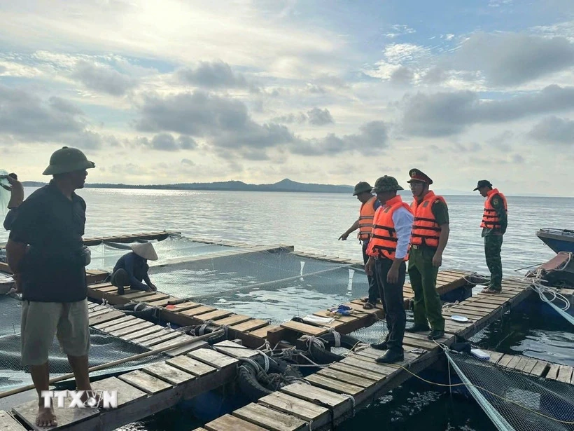 Đề phòng nguy cơ xảy ra dông, lốc và gió giật mạnh trước và trong khi bão đổ bộ