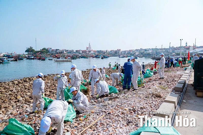 NSRP phát triển bền vững gắn với tiết kiệm năng lượng và ESG