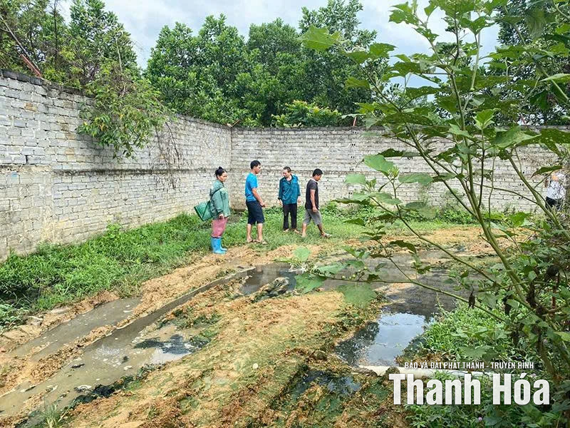 Cuộc sống người dân bị ảnh hưởng vì mùi hôi thối và chất thải từ trang trại lợn ở xã Sao Vàng
