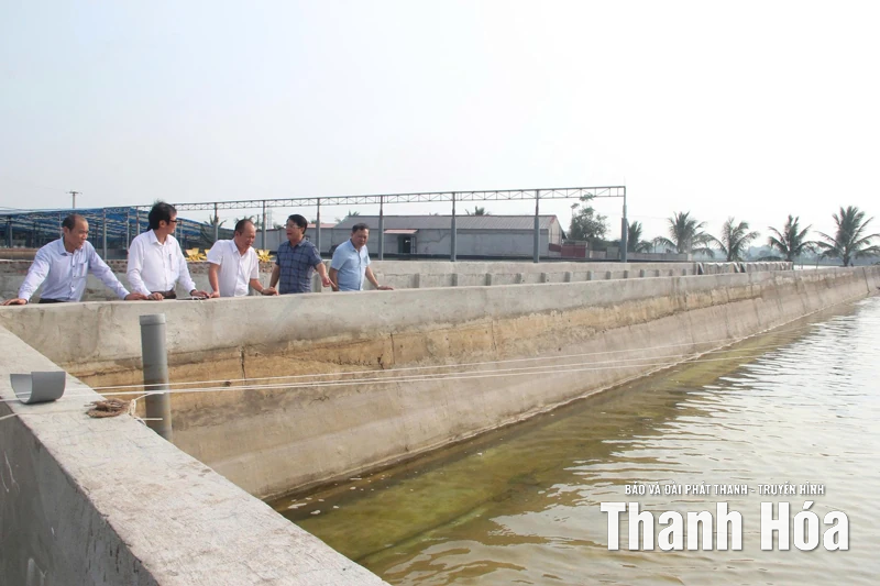 Tái cơ cấu nông nghiệp gắn với bảo vệ tài nguyên, môi trường