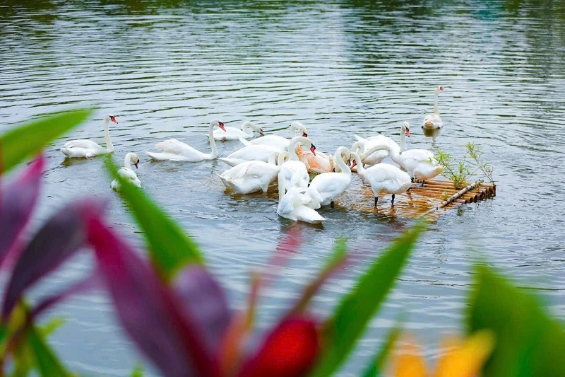 Khám phá dấu tích cổ xưa ở Lam Kinh, bước vào giấc mộng LAMORI