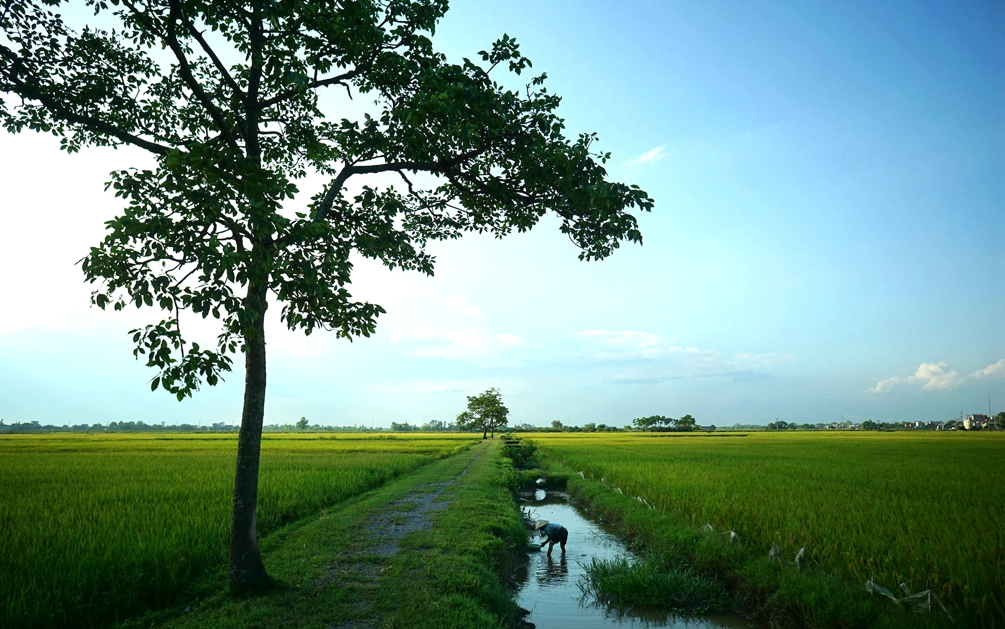 [E-Magazine]: Thời gian cho tôi nhiều lắm