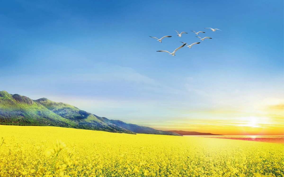 [E-Magazine]: Thời gian cho tôi nhiều lắm