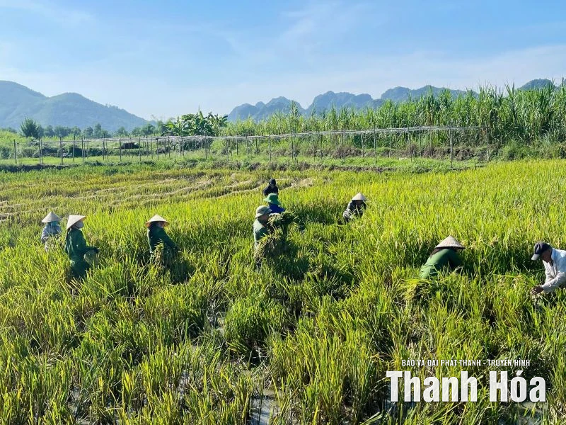 Đoàn viên thanh niên hỗ trợ người dân chống bão số 10