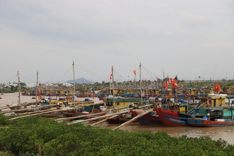 Phó Chủ tịch UBND tỉnh Đầu Thanh Tùng kiểm tra, chỉ đạo công tác ứng phó bão số 10 tại các xã Hoa Lộc, Nga Sơn