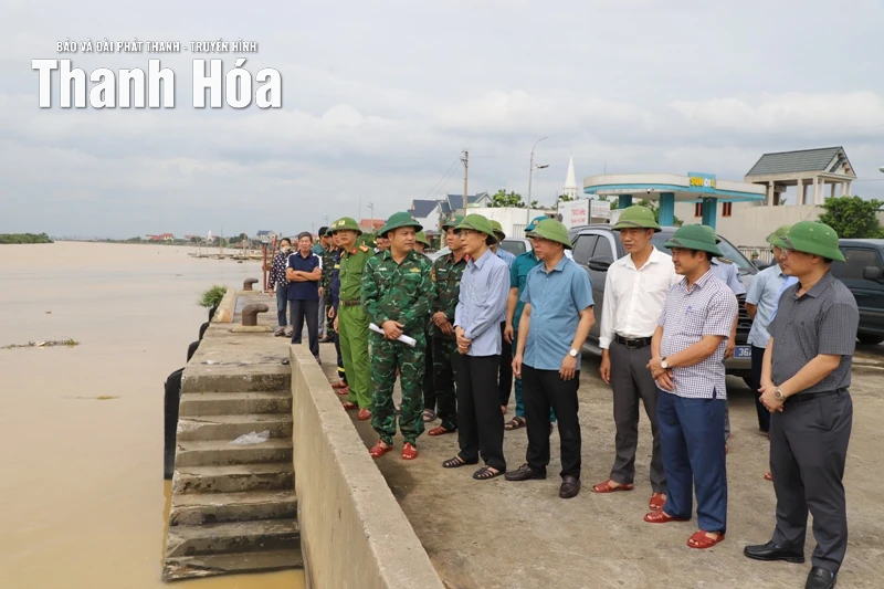 Phó Chủ tịch UBND tỉnh Đầu Thanh Tùng kiểm tra, chỉ đạo công tác ứng phó bão số 10 tại các xã Hoa Lộc, Nga Sơn