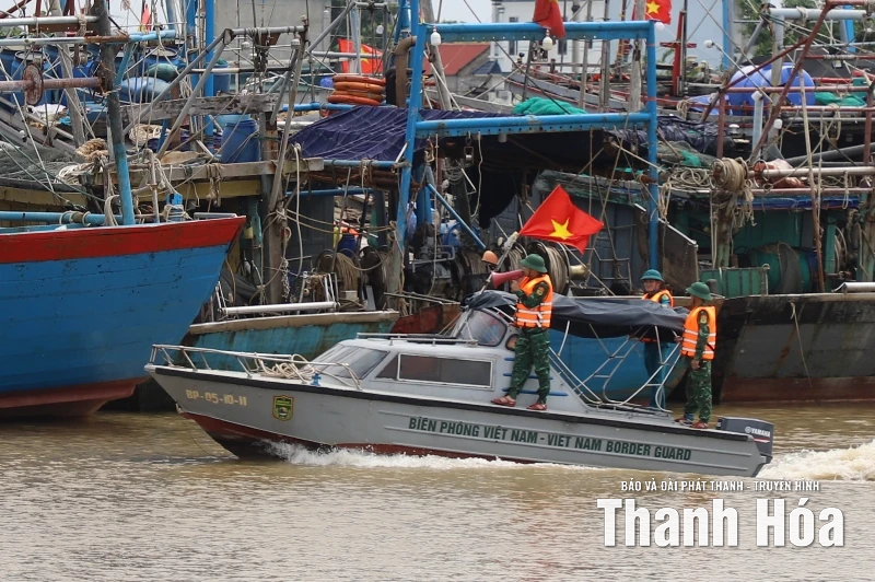 Phó Chủ tịch UBND tỉnh Đầu Thanh Tùng kiểm tra, chỉ đạo công tác ứng phó bão số 10 tại các xã Hoa Lộc, Nga Sơn