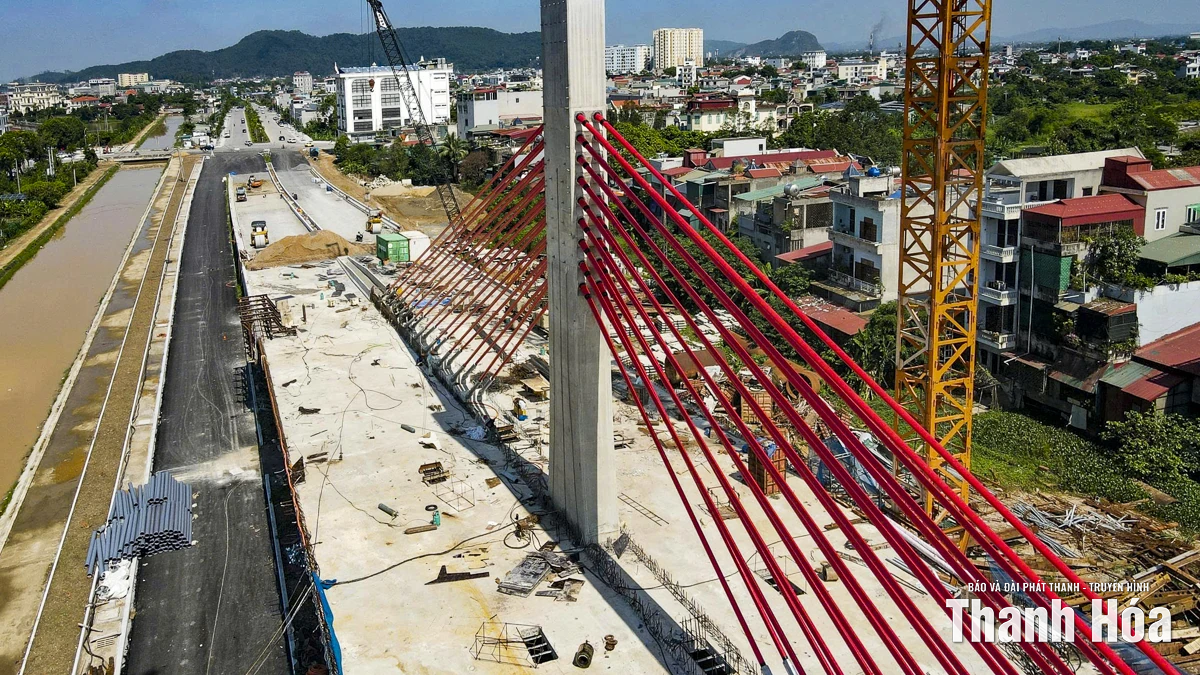 Cận cảnh cây cầu dây văng đầu tiên ở xứ Thanh