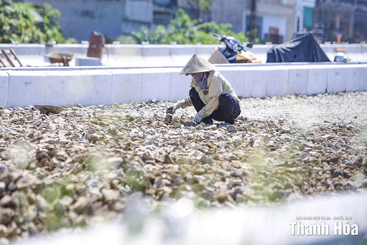 Cận cảnh cây cầu dây văng đầu tiên ở xứ Thanh